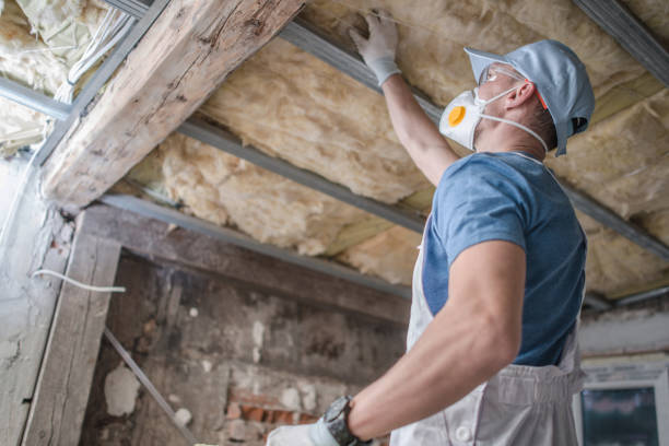 Best Insulation Installation Services in Huntington Woods, MI
