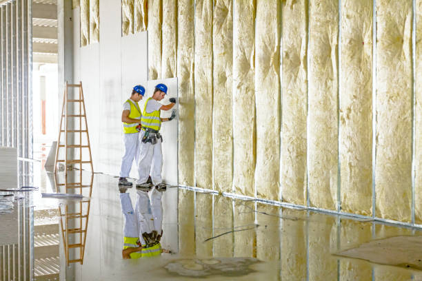 Best Insulation Maintenance and Repair in Huntington Woods, MI